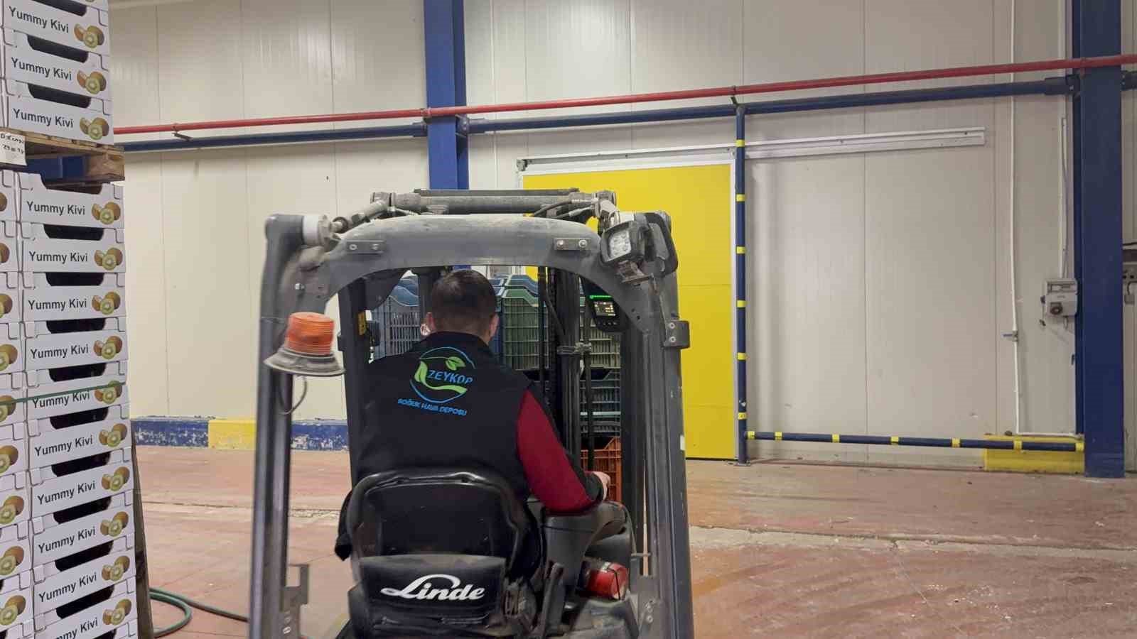 İznik’te yetiştirilen dev kiviler ağırlıklarıyla rekor kırdı, Avrupa pazarının dikkatini çekti
