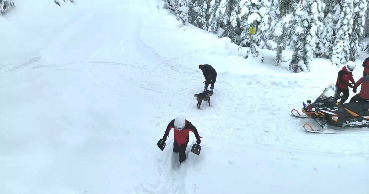 JAK timlerinden Kartalkaya’da zorlu tatbikat
