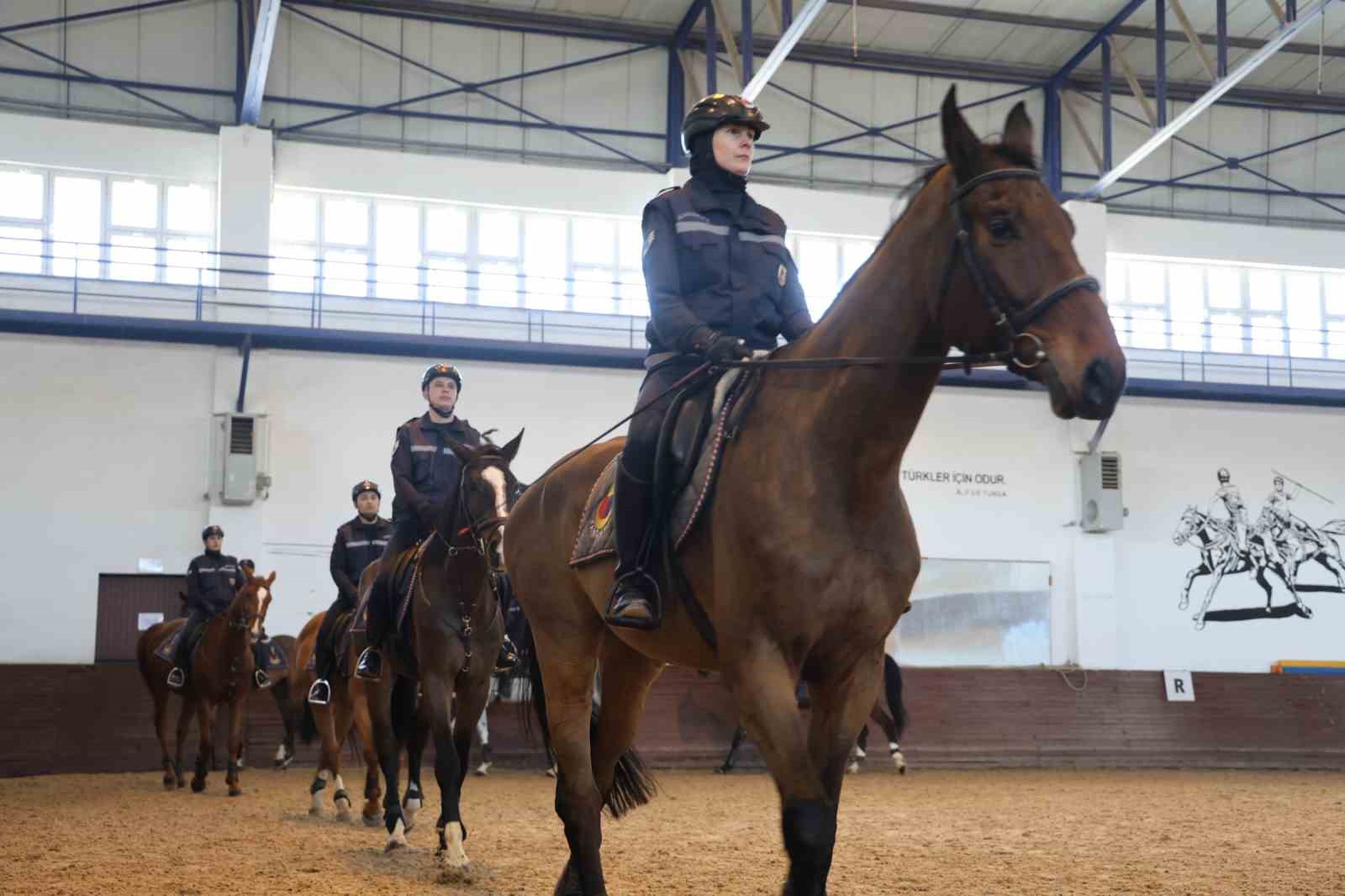 JAKEM’de atlar eğitimde
