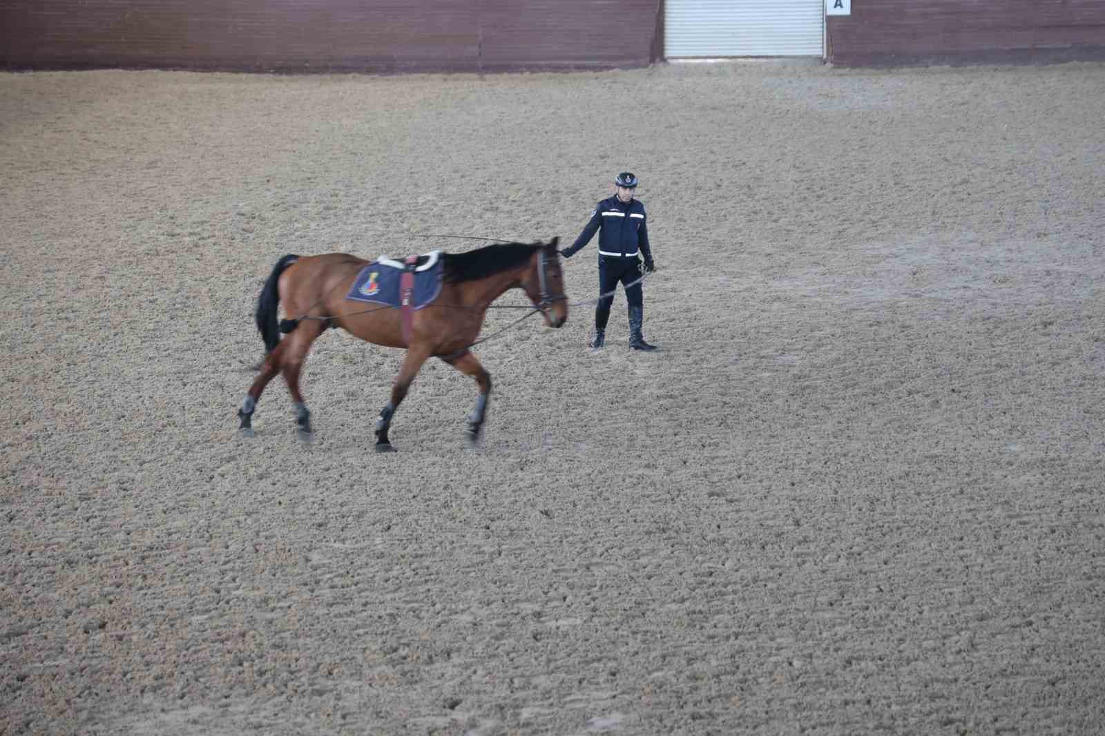 JAKEM’de atlar eğitimde
