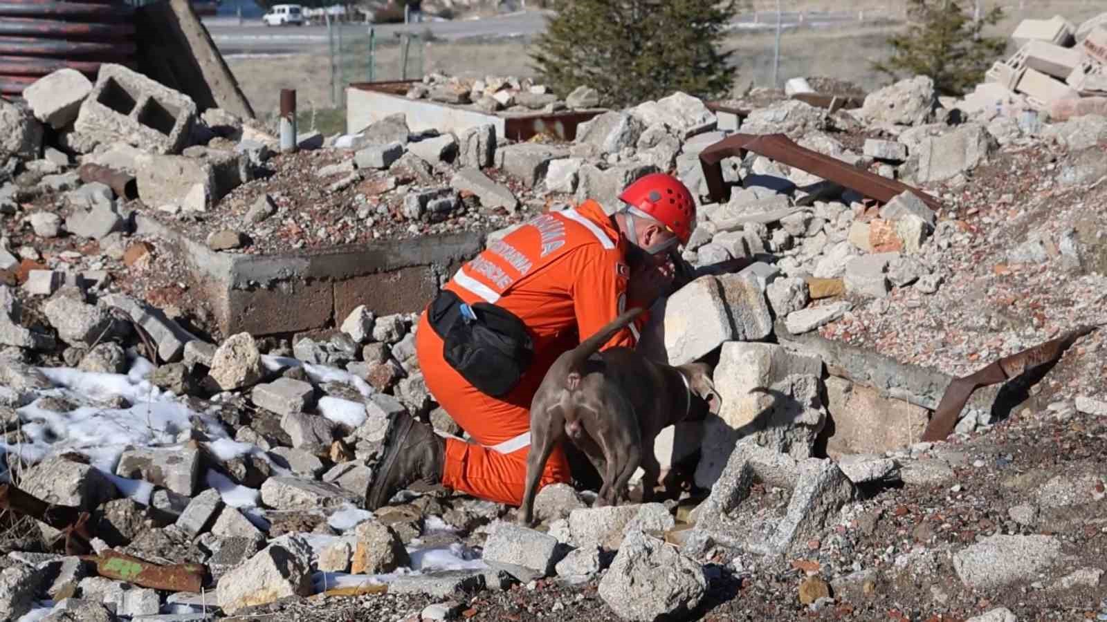 JAKEM’de deprem sonrası umut arayan patiler
