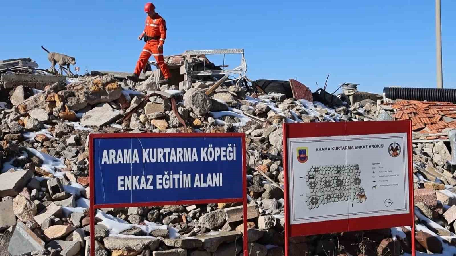 JAKEM’de deprem sonrası umut arayan patiler
