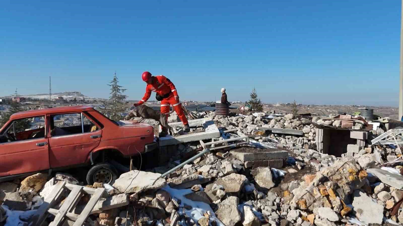 JAKEM’de deprem sonrası umut arayan patiler
