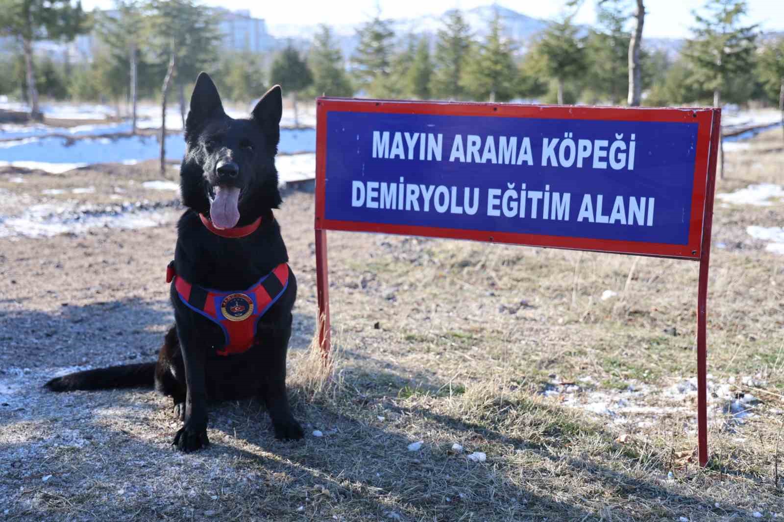 JAKEM’de görev köpekleri zorlu görevlere hazırlanıyor
