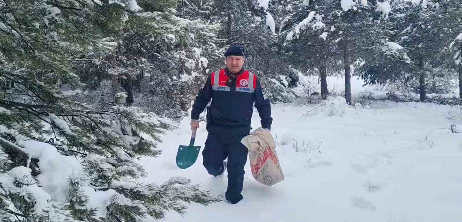 Jandarma ekipleri doğadaki canlıları unutmadı
