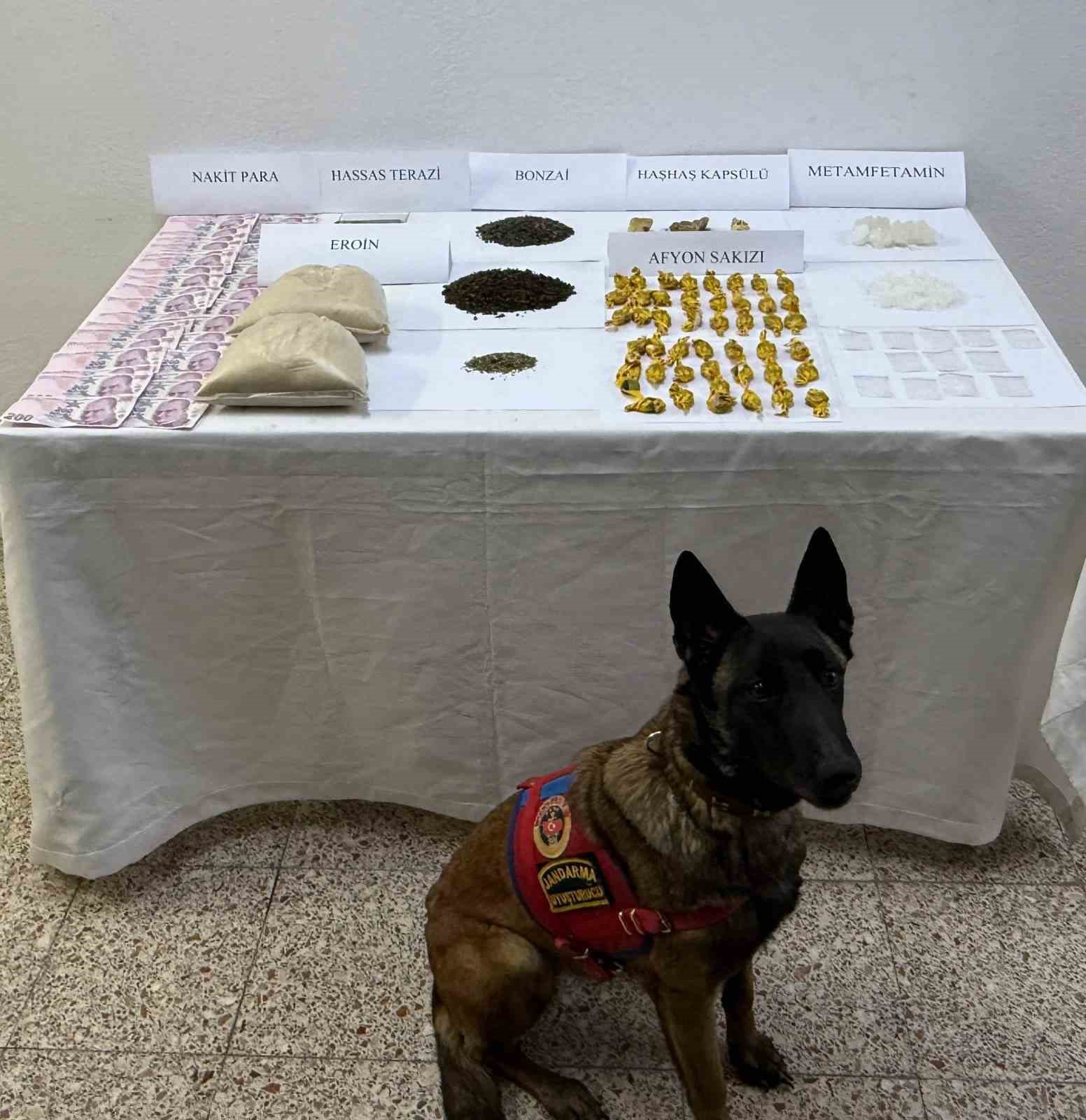 Jandarma ekiplerinden uyuşturucuya geçit yok
