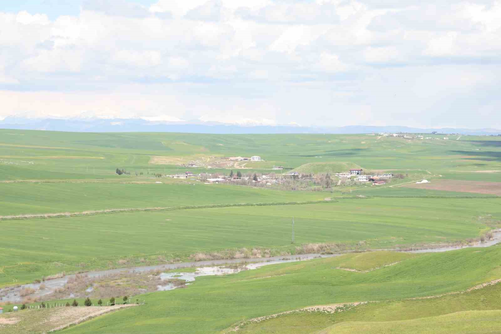 Jandarma eşliğinde ektiği 250 dönüm tarla iddiaya göre akrabaları tarafından ilaçlanarak kurutuldu
