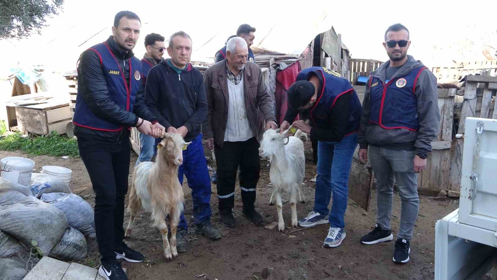 Jandarma kayıp 5 koyun için 3 iş yeri ve 9 meskene ait toplam 24 saatlik güvenlik kamerasını saniye saniye inceledi
