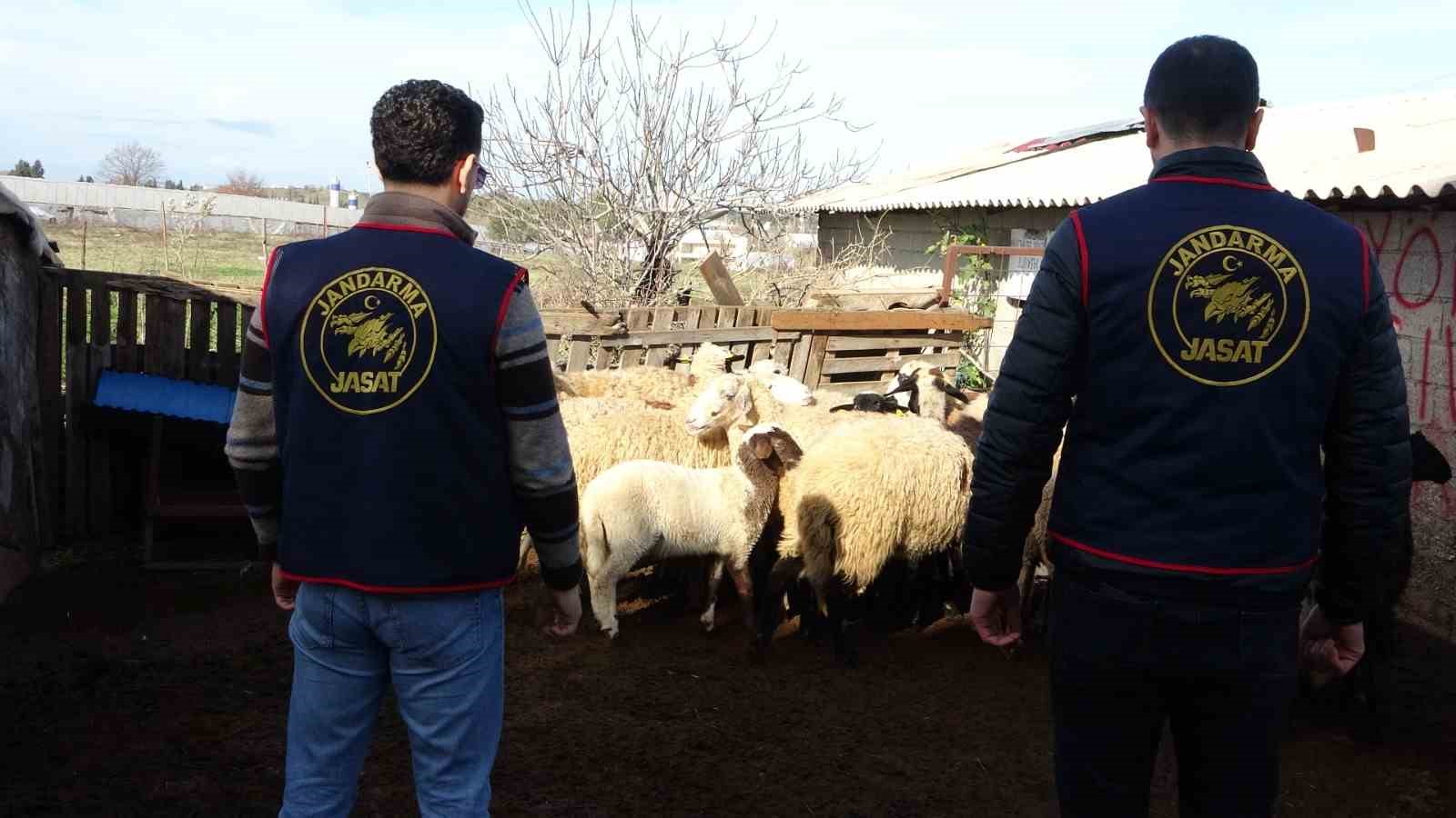 Jandarma kayıp 5 koyun için 3 iş yeri ve 9 meskene ait toplam 24 saatlik güvenlik kamerasını saniye saniye inceledi

