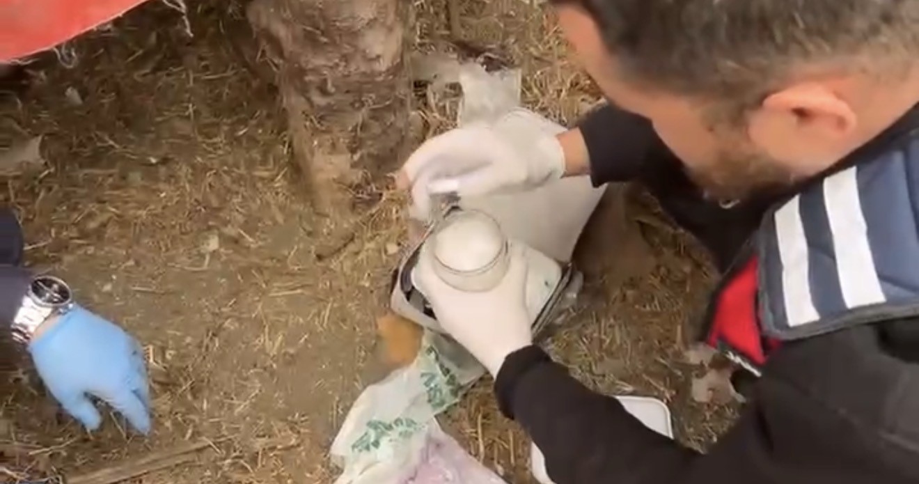 Jandarma, kümese saklanan uyuşturucuyu ele geçirdi: 2 gözaltı
