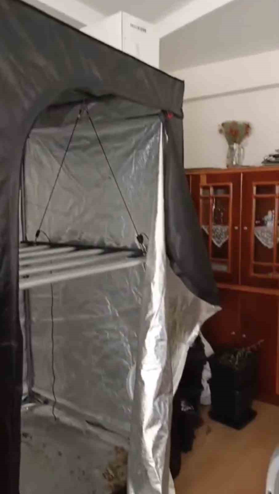 Jandarmadan evde kenevir operasyonu
