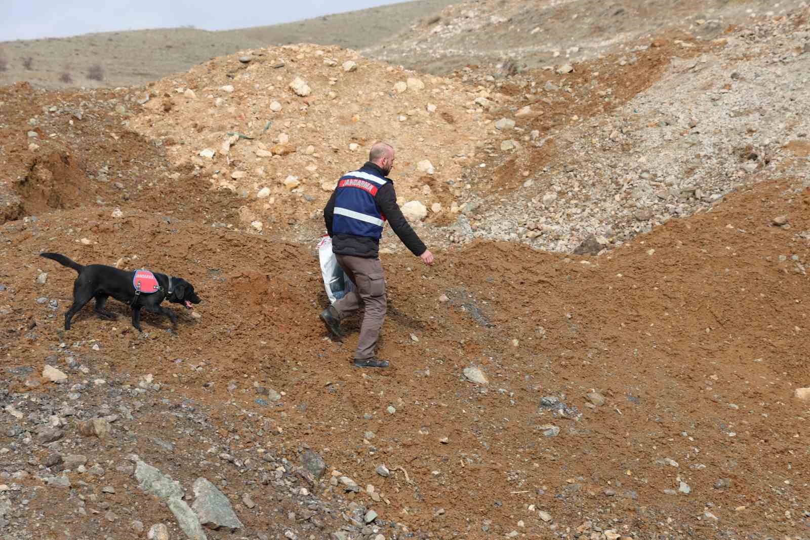 Jandarmanın iz takip köpeği "Salkım" kayıp şahıs için sahada

