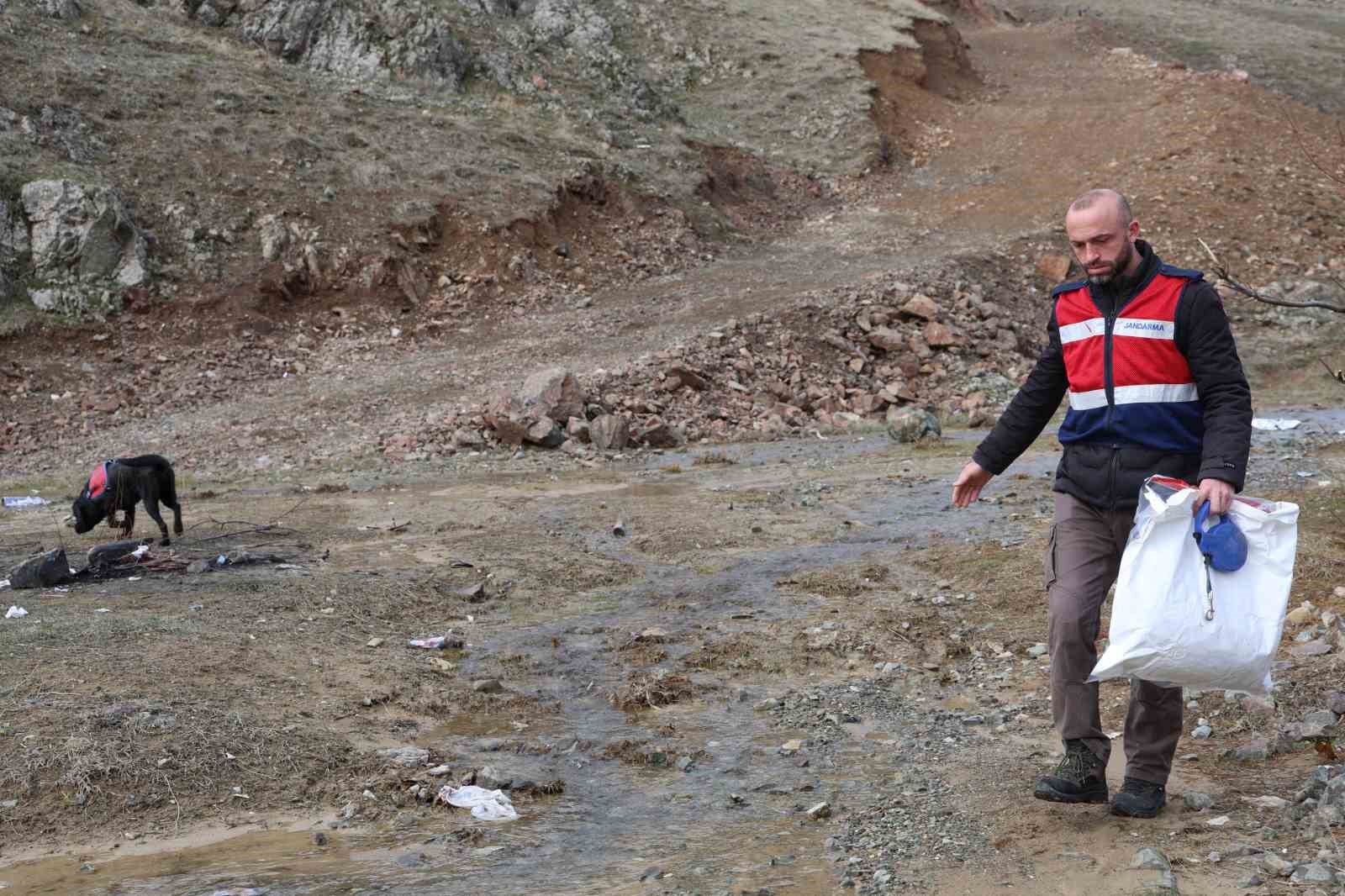 Jandarmanın iz takip köpeği "Salkım" kayıp şahıs için sahada
