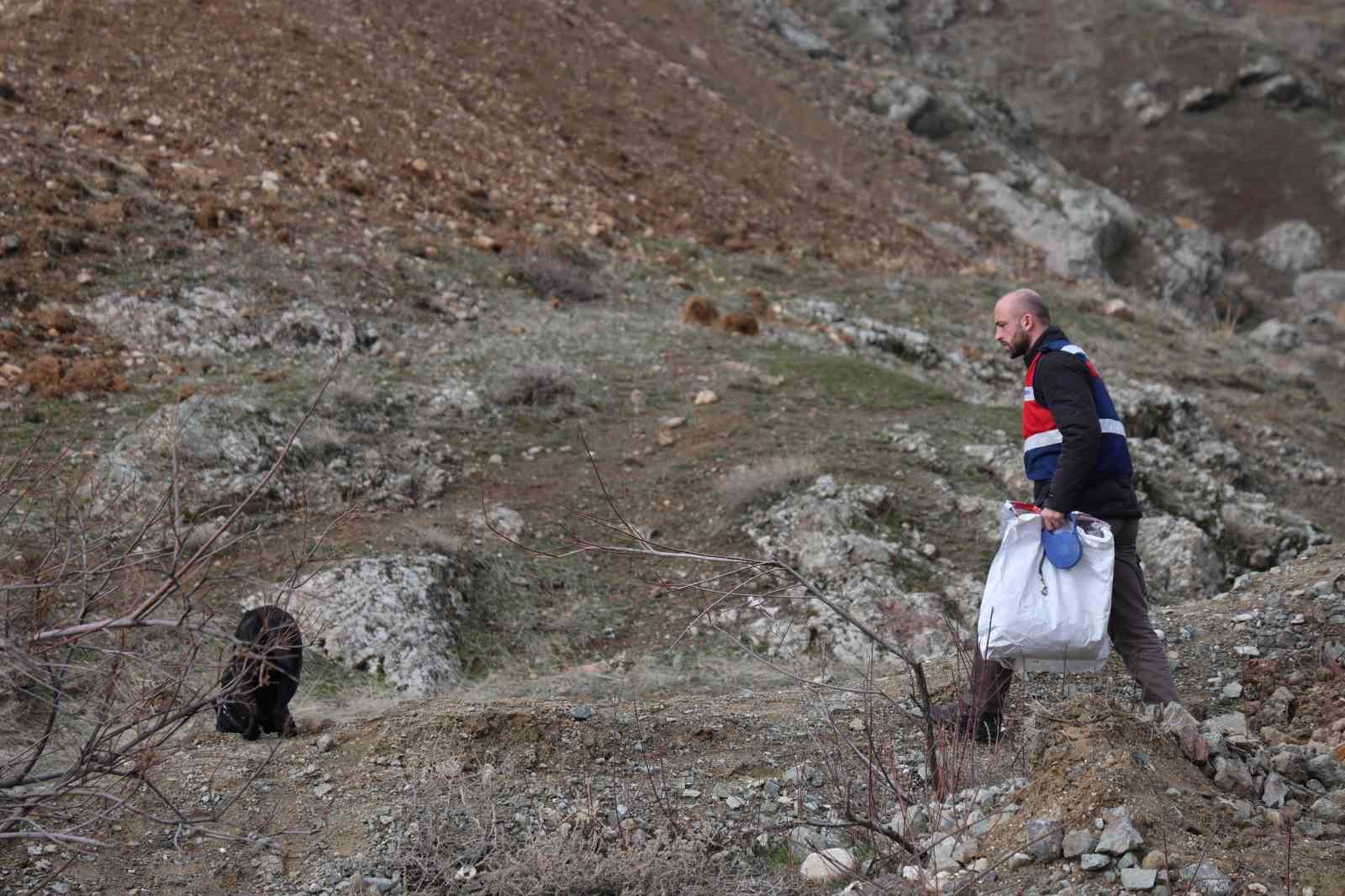 Jandarmanın iz takip köpeği "Salkım" kayıp şahıs için sahada
