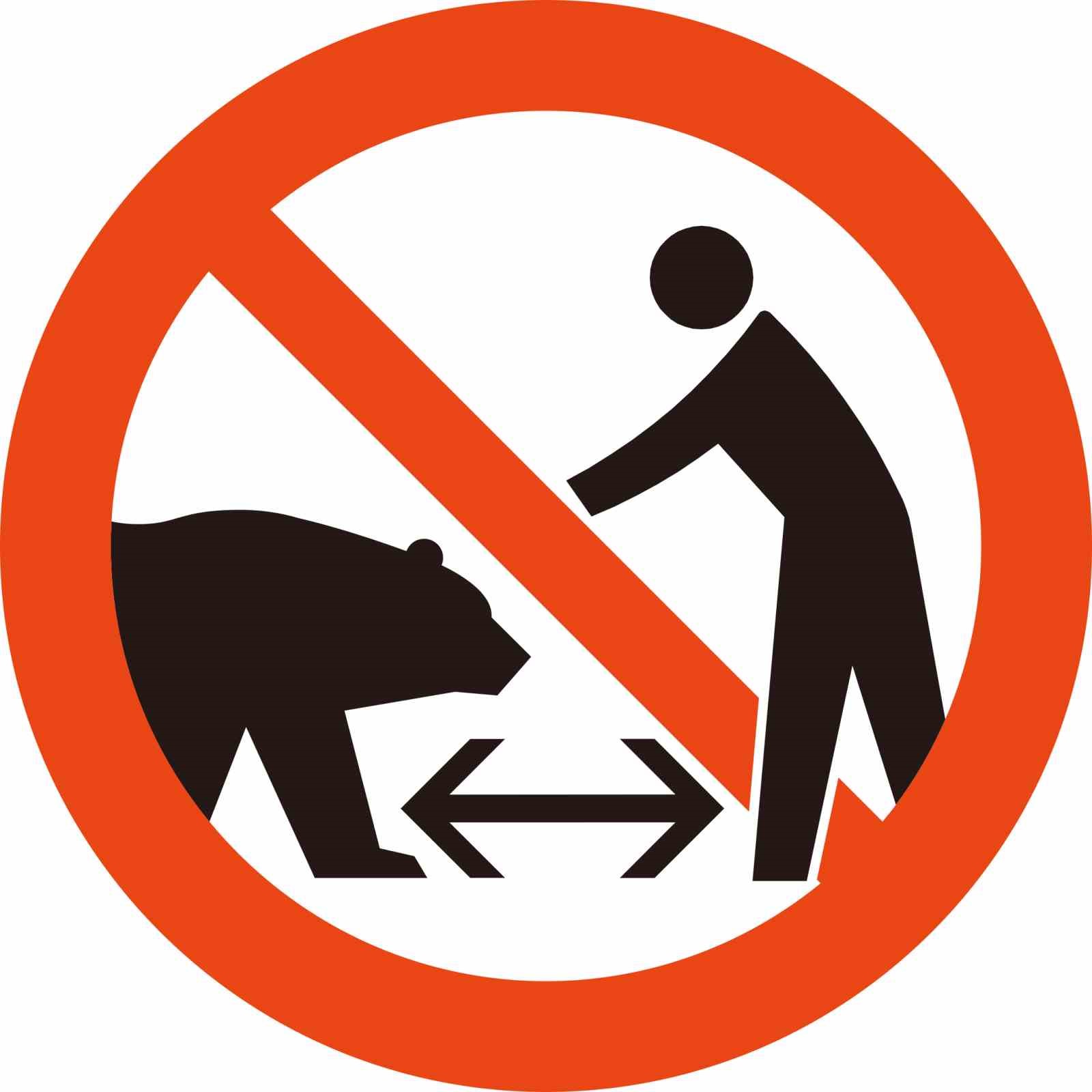 Japonya, turistleri ayılardan korumayı amaçlayan yeni uyarı işaretlerini tanıttı
