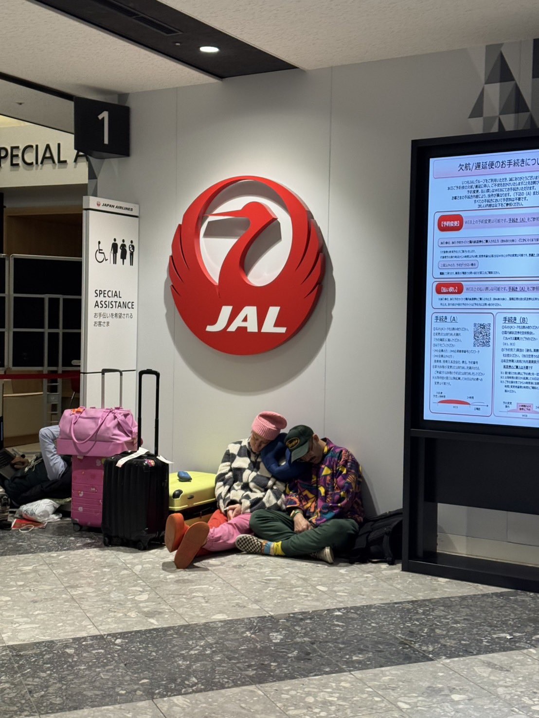 Japonya’da kar esareti
