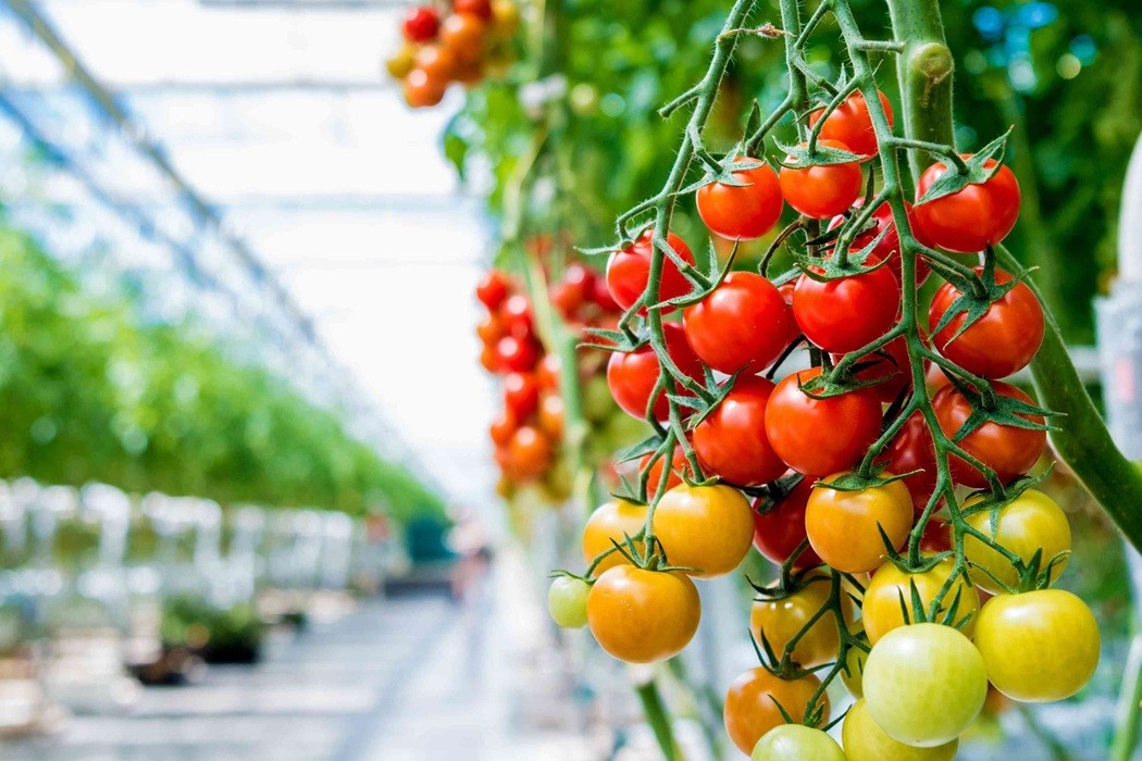 Jeotermal sektöründen "JEKA" talebi
