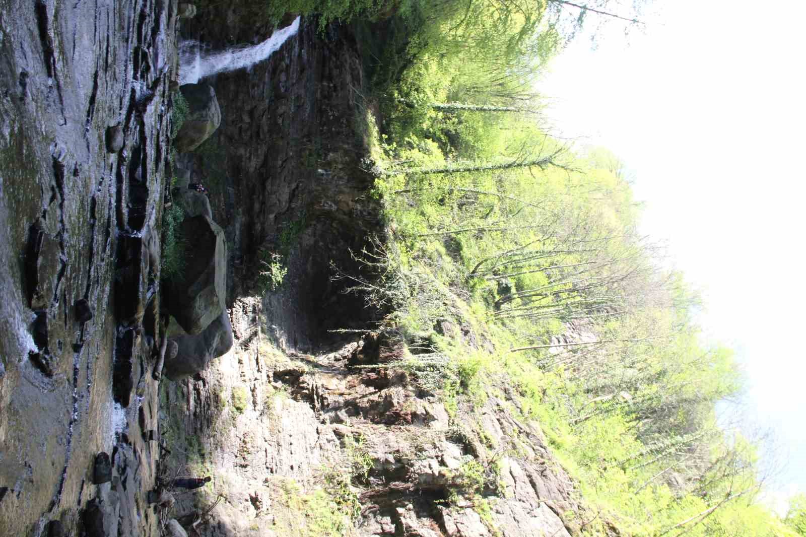 Kabaceviz Şelalesi’nde piknik yapan kardeşlerin üzerine kaya düştü: 1 ölü
