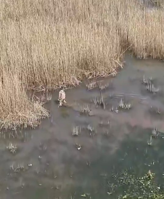 Kaçak avcılara dronlu takip
