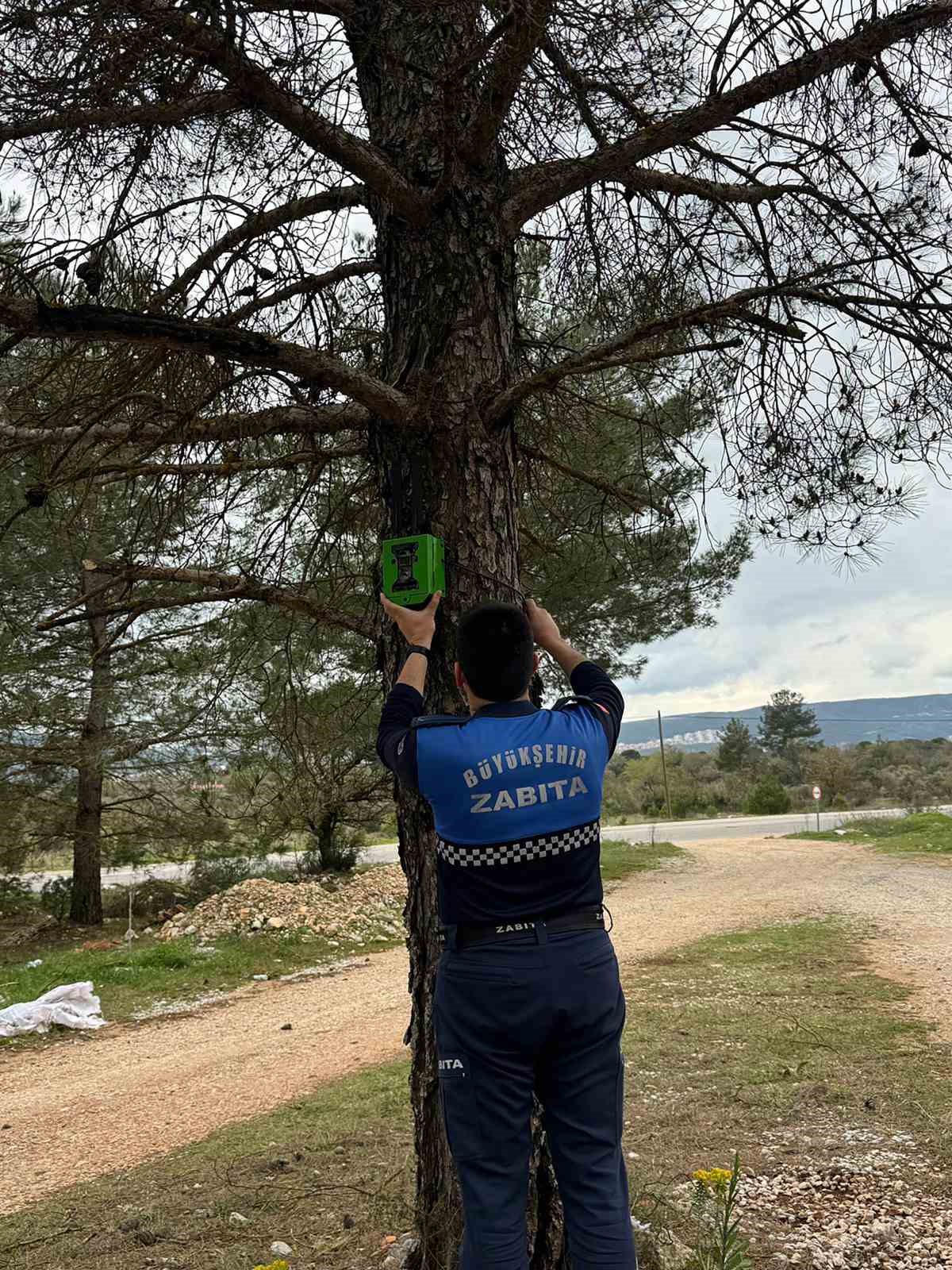 Kaçak döküm yapanlar fotokapandan kaçamadı
