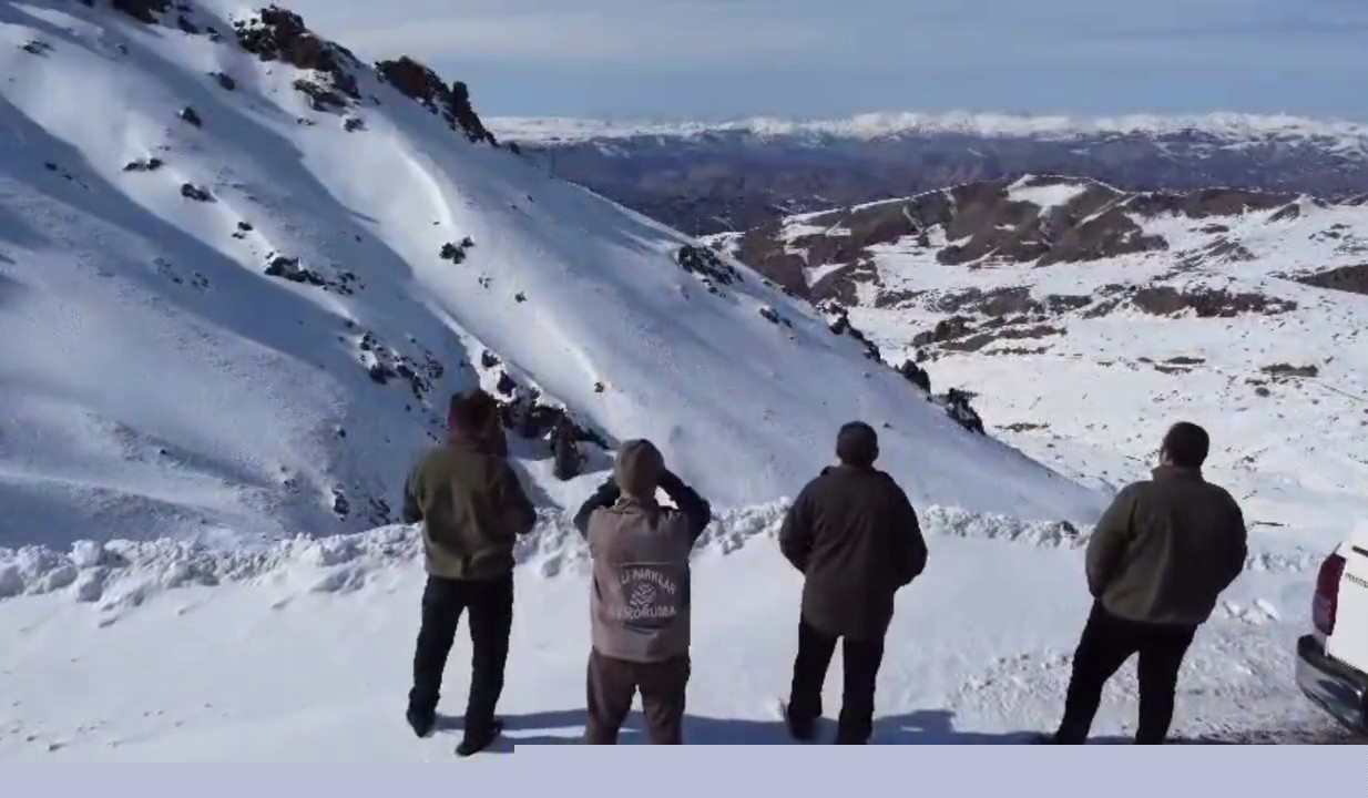 Kaçak ve usulsüz avlanmaya geçit vermiyorlar

