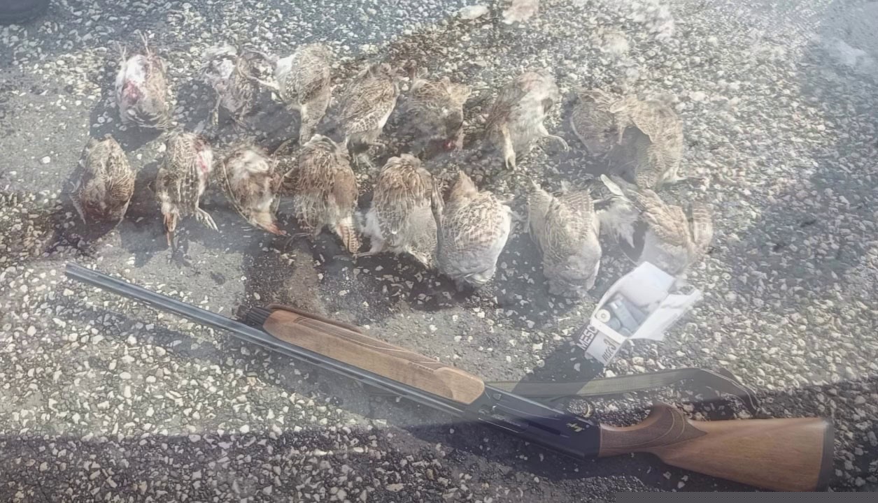 Kaçak ve usulsüz avlanmaya geçit vermiyorlar
