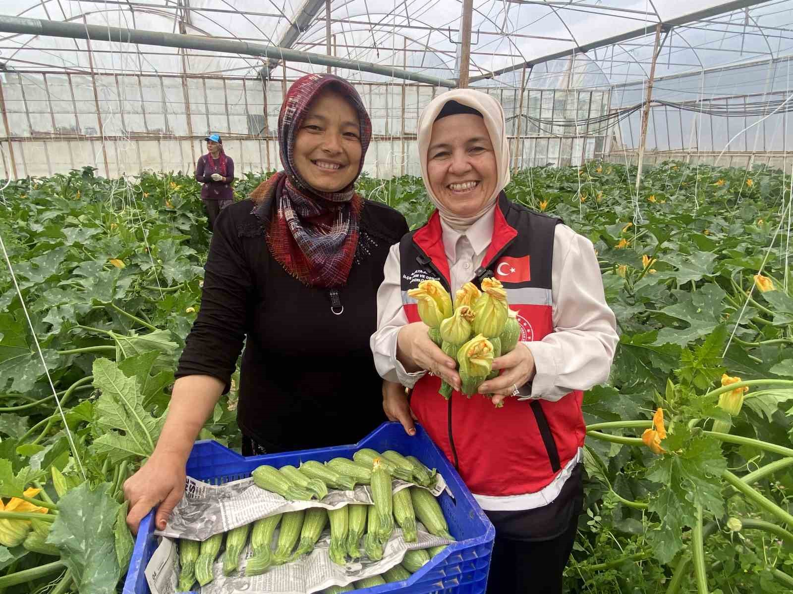 Kadın çiftçi hem üretiyor hem ihraç ediyor hem de pazarda satıyor
