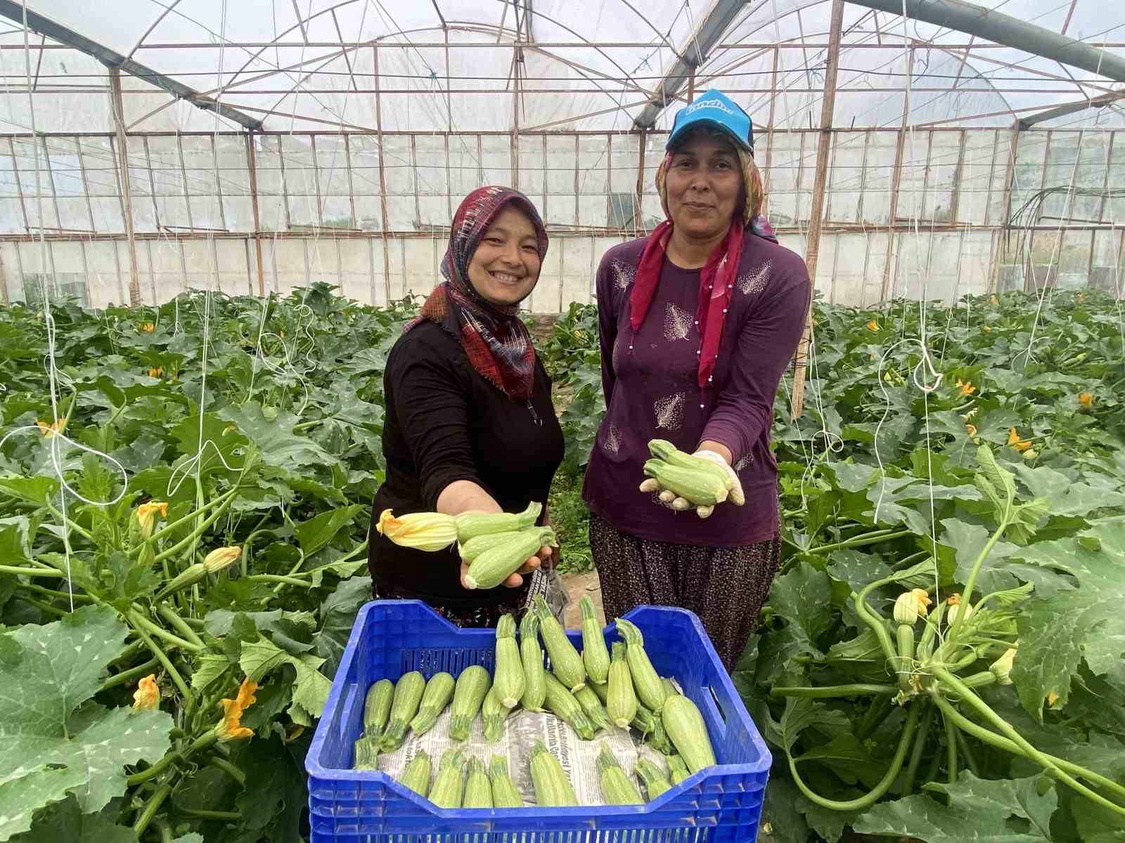Kadın çiftçi hem üretiyor hem ihraç ediyor hem de pazarda satıyor
