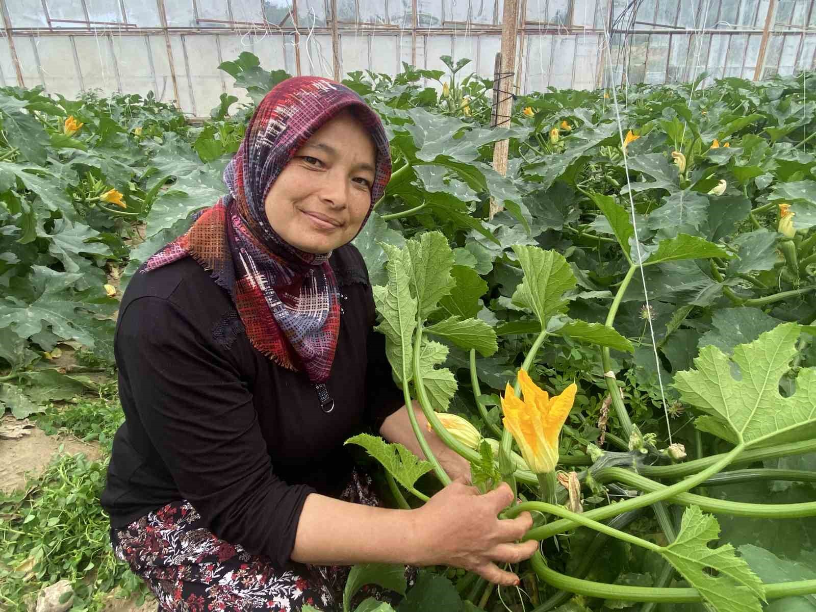 Kadın çiftçi hem üretiyor hem ihraç ediyor hem de pazarda satıyor
