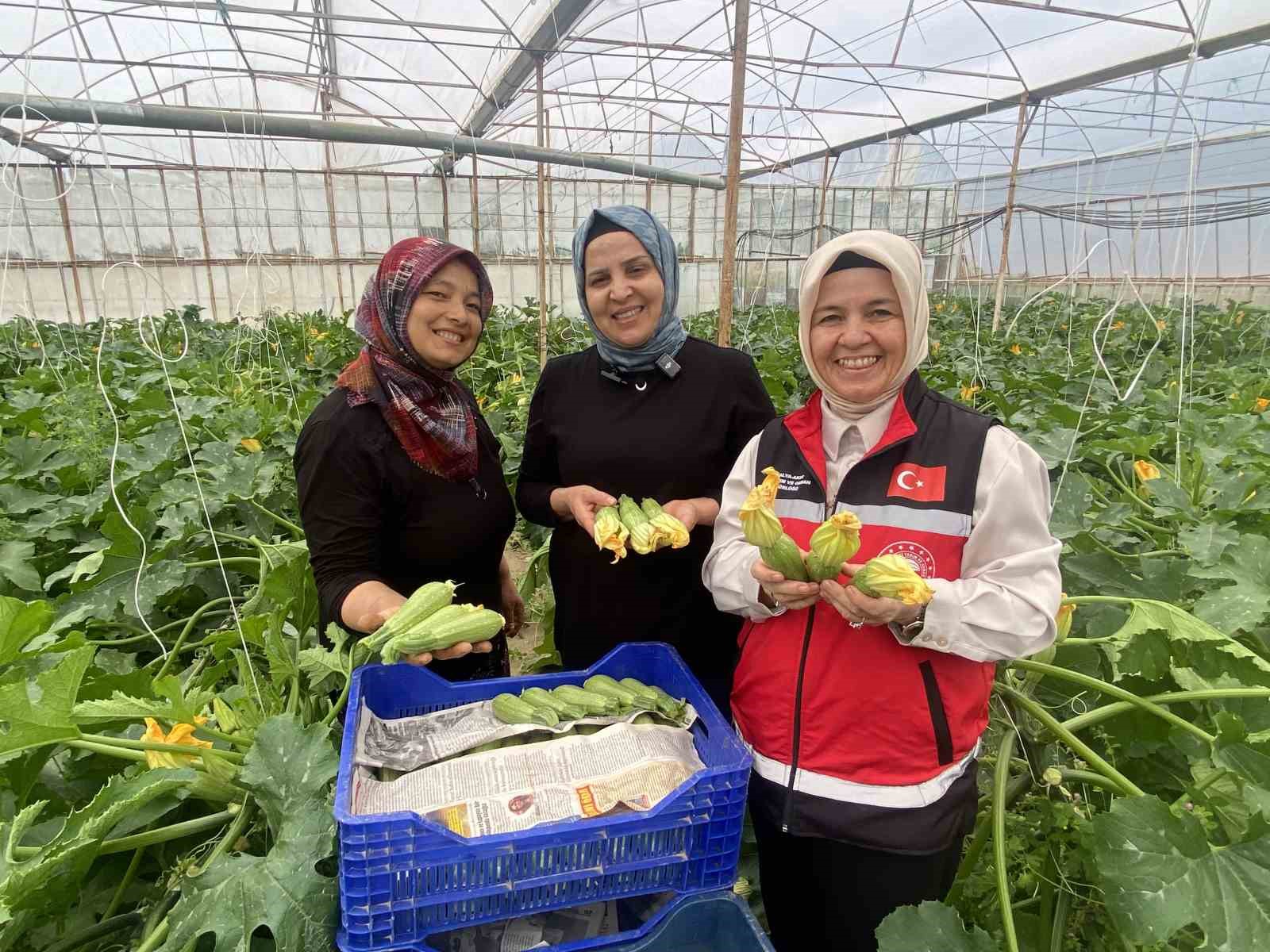 Kadın çiftçi hem üretiyor hem ihraç ediyor hem de pazarda satıyor
