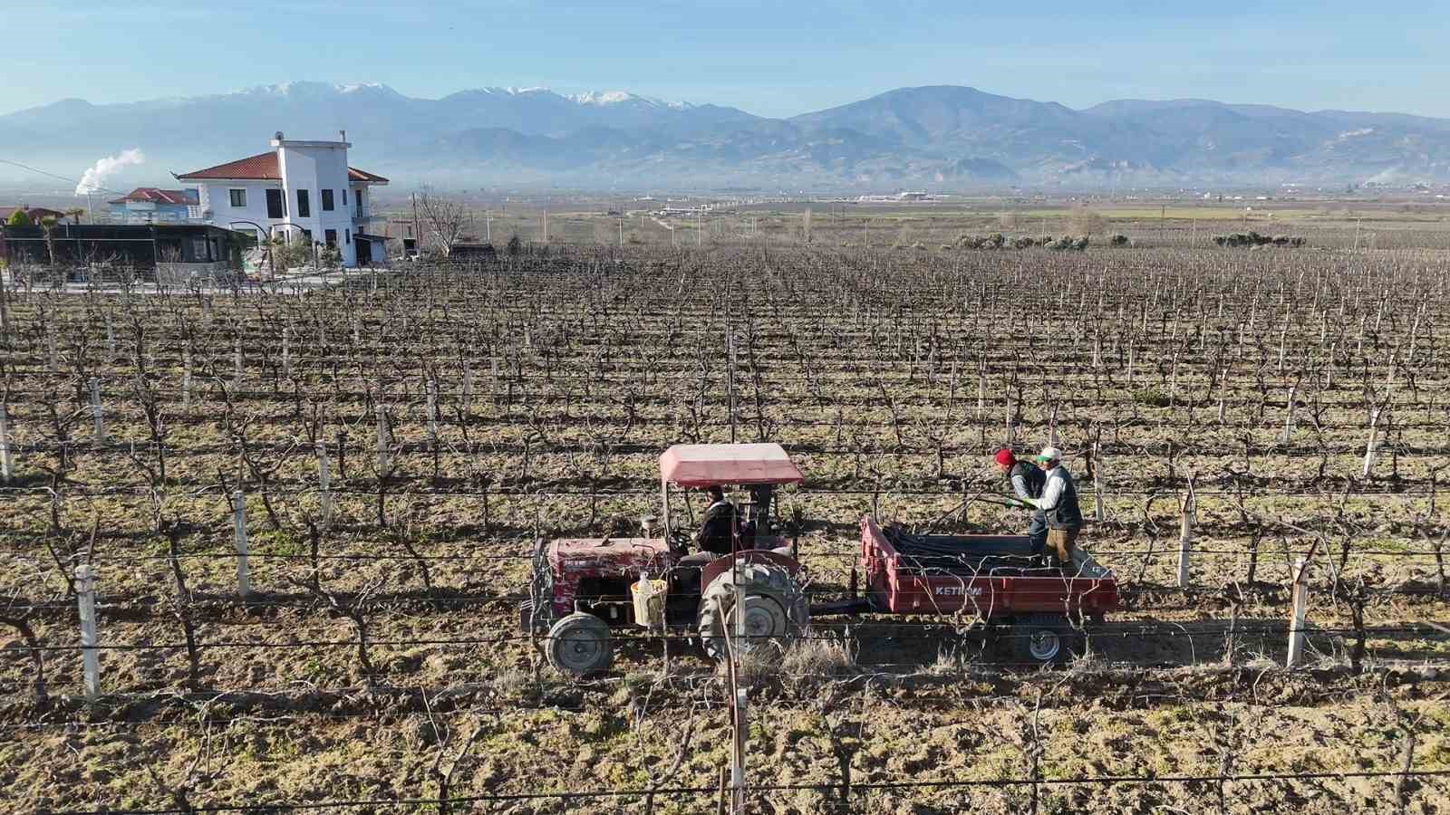 Kadın girişimciden tarımda akılcı çözüm
