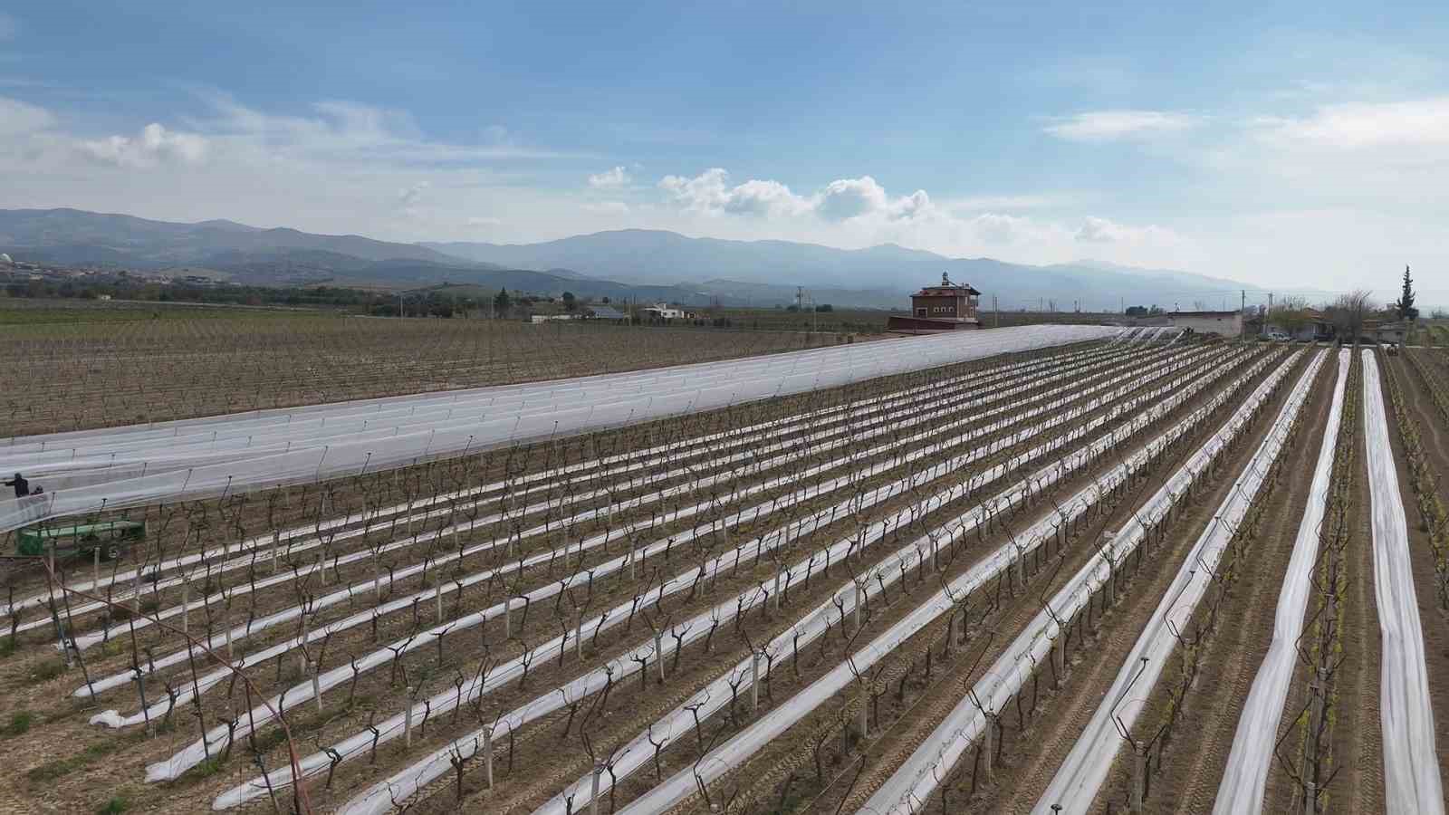 Kadın girişimciden tarımda akılcı çözüm
