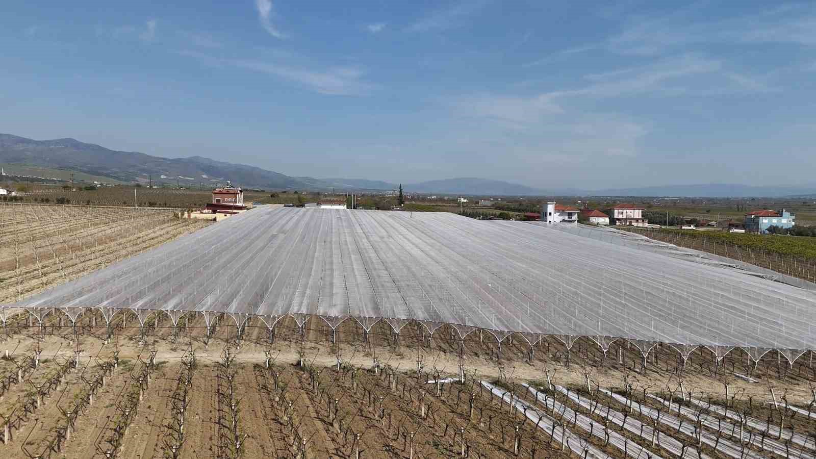 Kadın girişimciden tarımda akılcı çözüm
