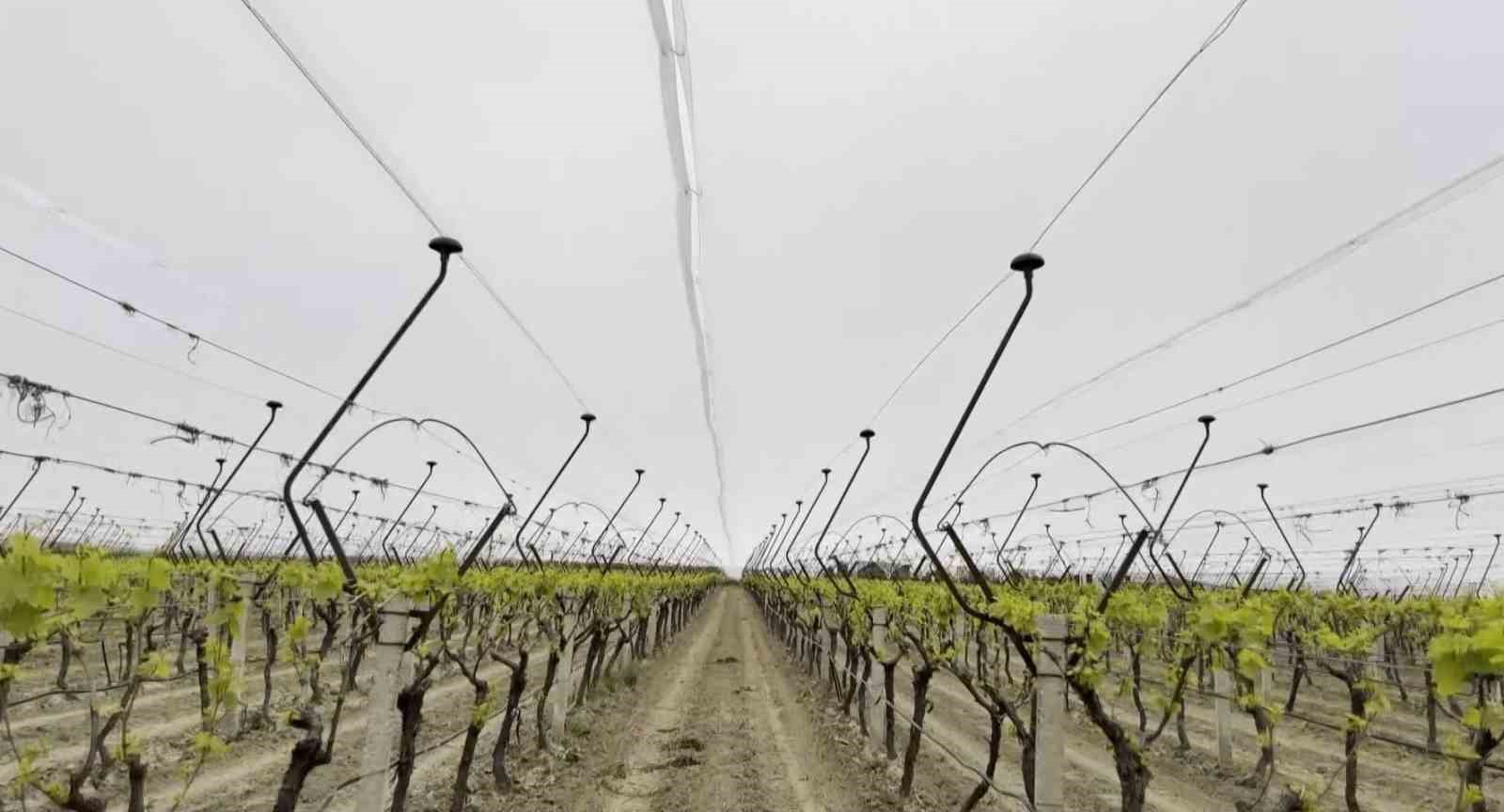 Kadın girişimciden tarımda akılcı çözüm
