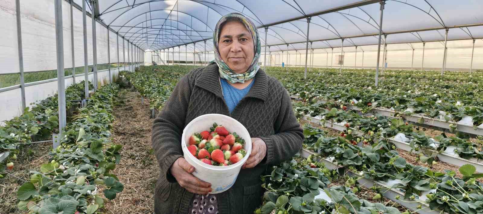 Kadınlar Gününü tarlada çalışarak kutladılar
