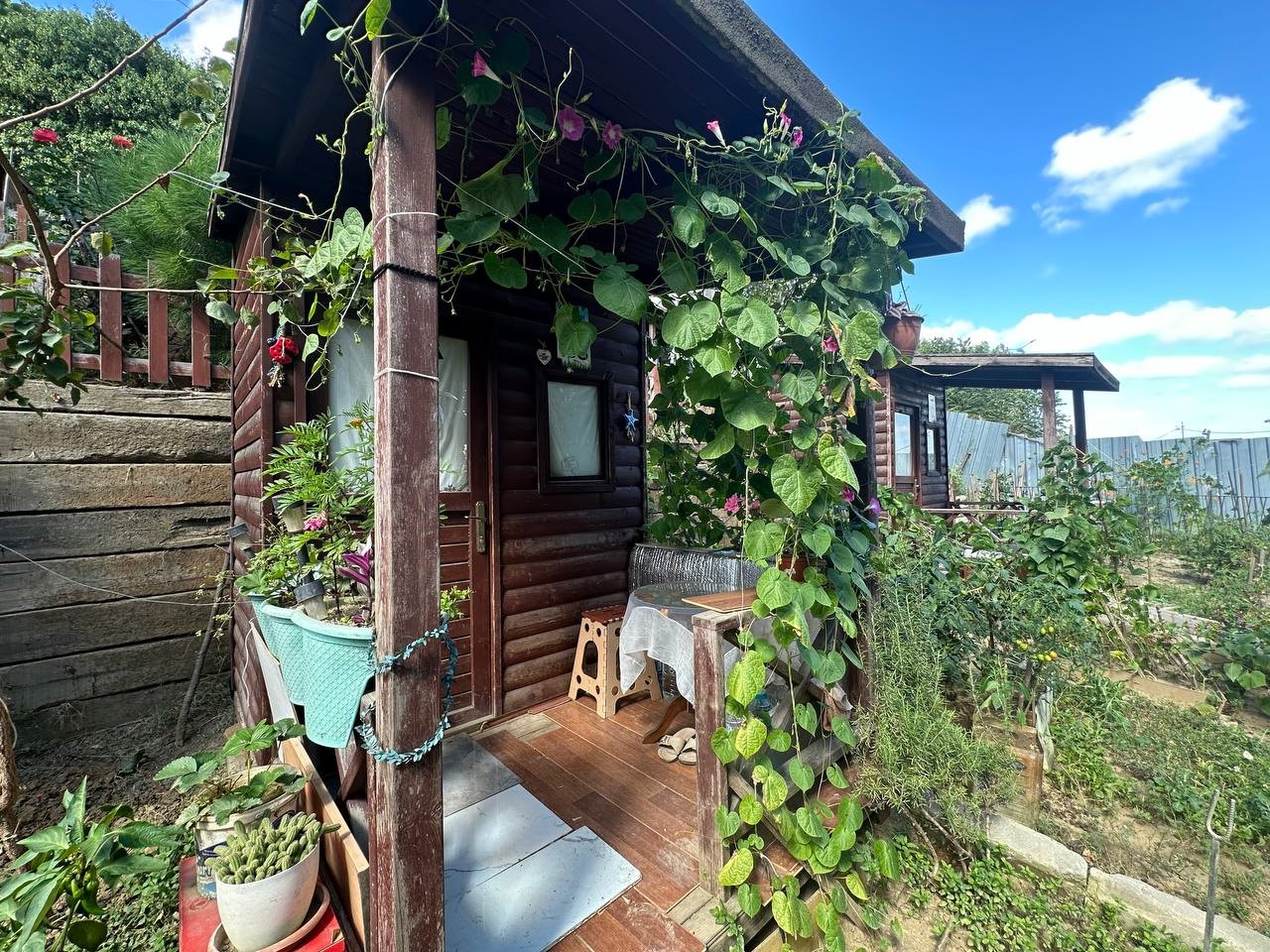 Kağıthane Belediyesi 2026 Hobi Bahçeleri için başvuruları başlattı
