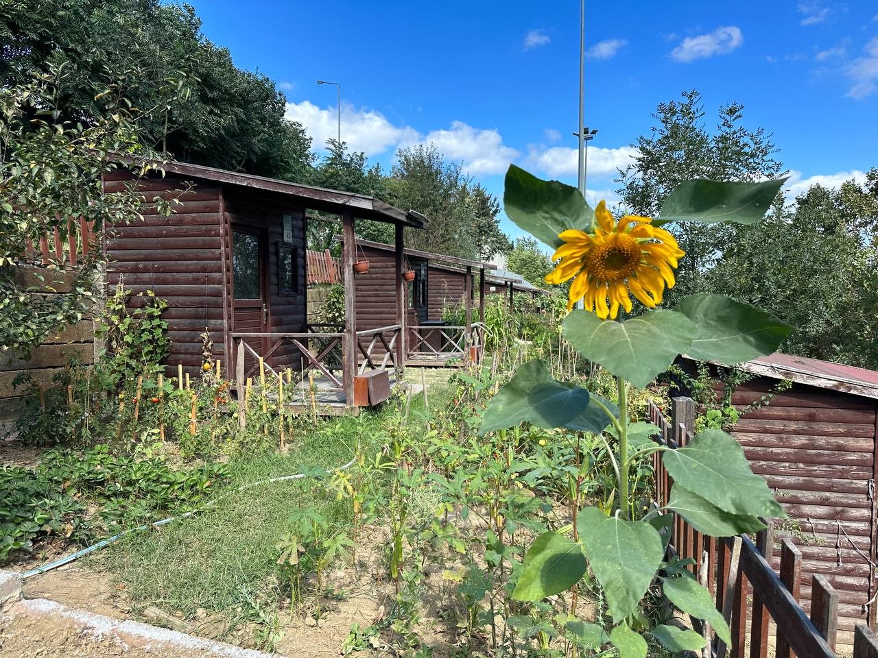 Kağıthane Belediyesi 2026 Hobi Bahçeleri için başvuruları başlattı
