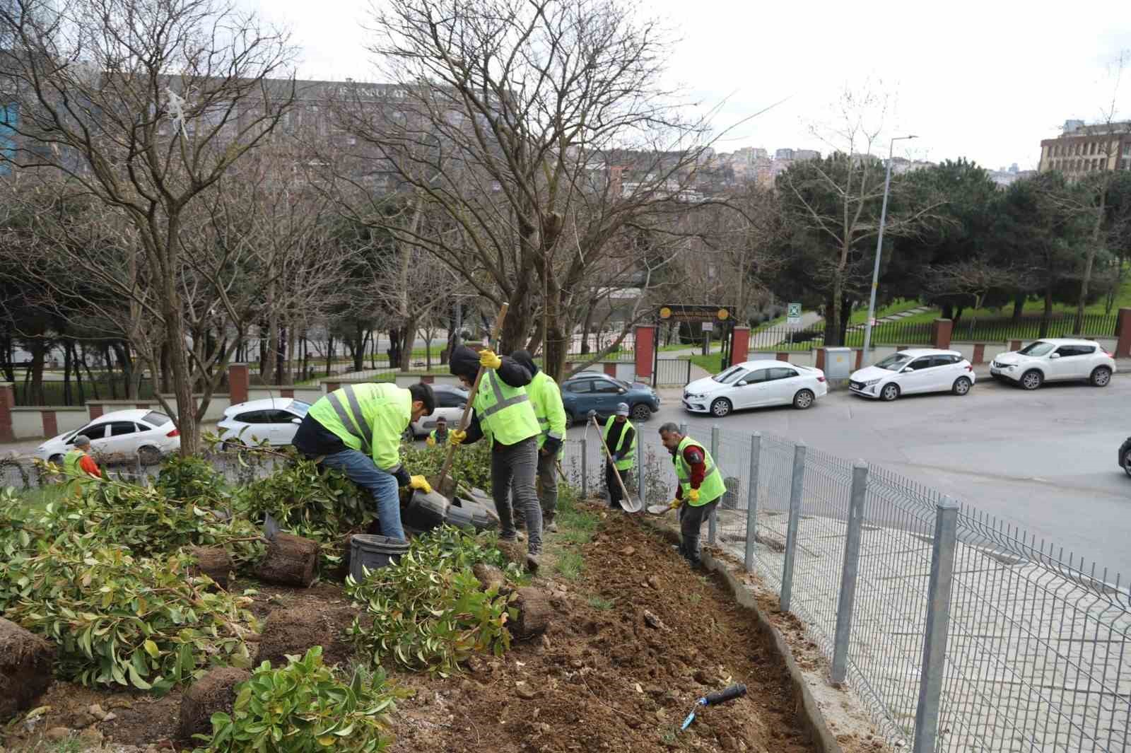 Kağıthane’de yeşil alanlarda bakım ve düzenleme çalışmaları sürüyor
