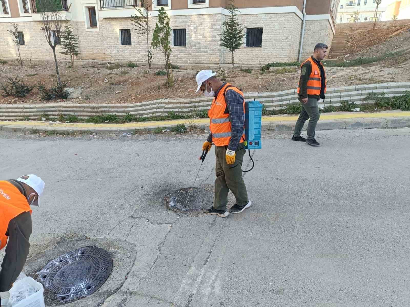 Kahta Belediyesi’nden haşerelere karşı yoğun mücadele
Kahta Belediyesi’nden haşerelere karşı yoğun mücadele
