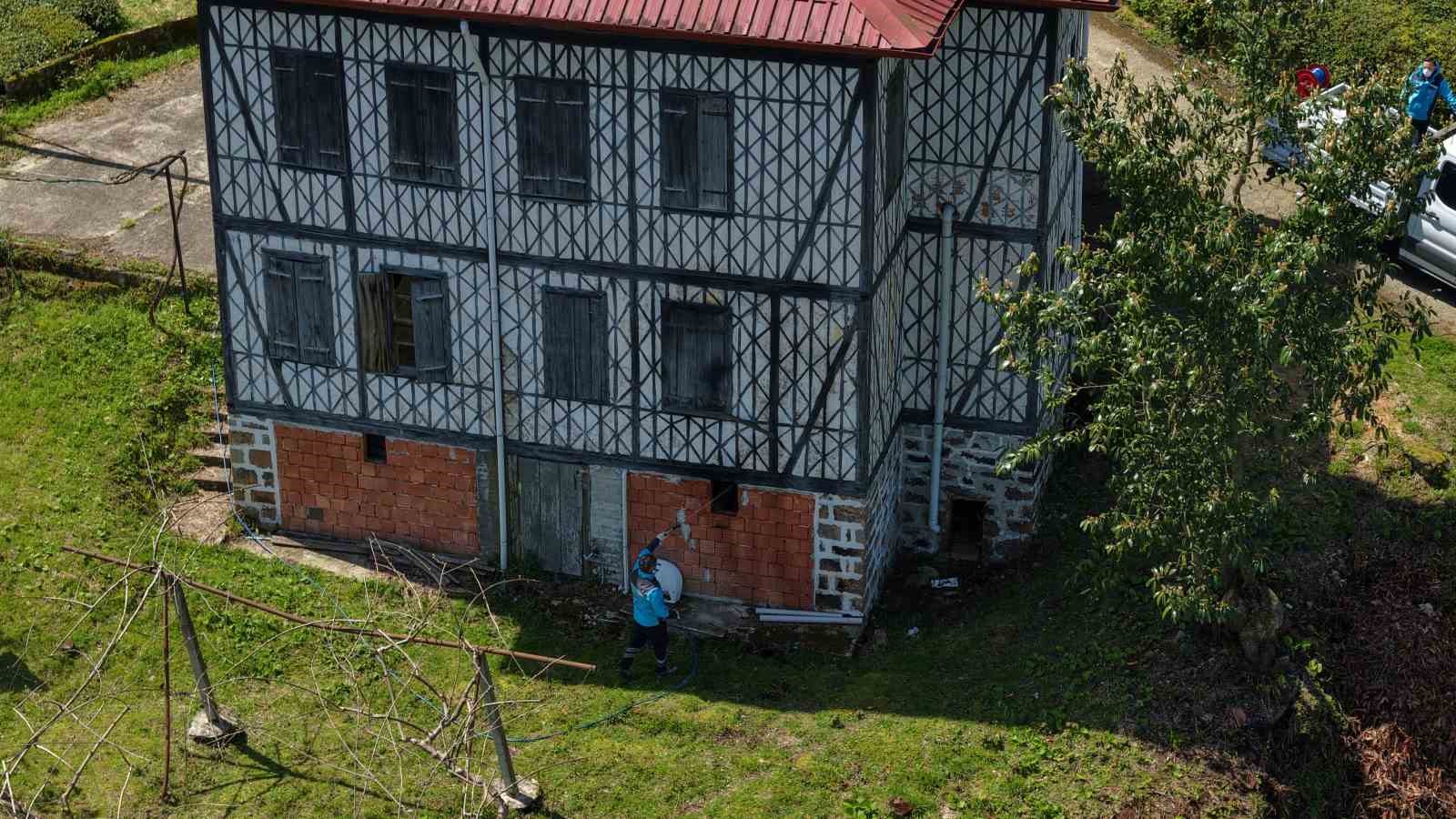 Kahverengi kokarcaya karşı kışlaklardan çıkış öncesi ilaçlama hız kazandı
