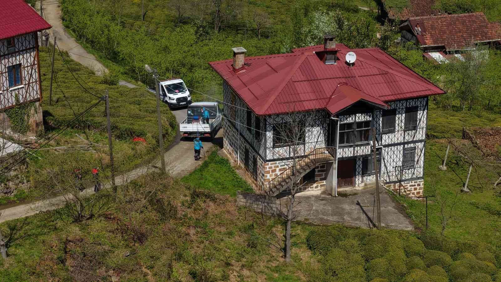 Kahverengi kokarcaya karşı kışlaklardan çıkış öncesi ilaçlama hız kazandı
