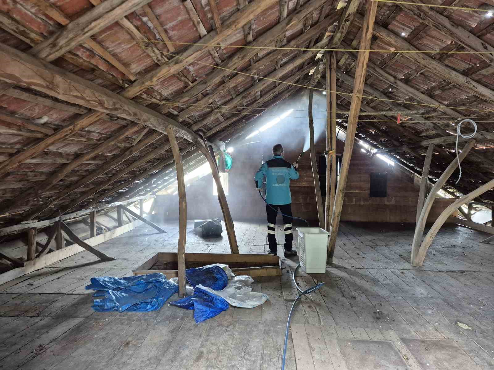 Kahverengi kokarcaya karşı kışlaklardan çıkış öncesi ilaçlama hız kazandı
