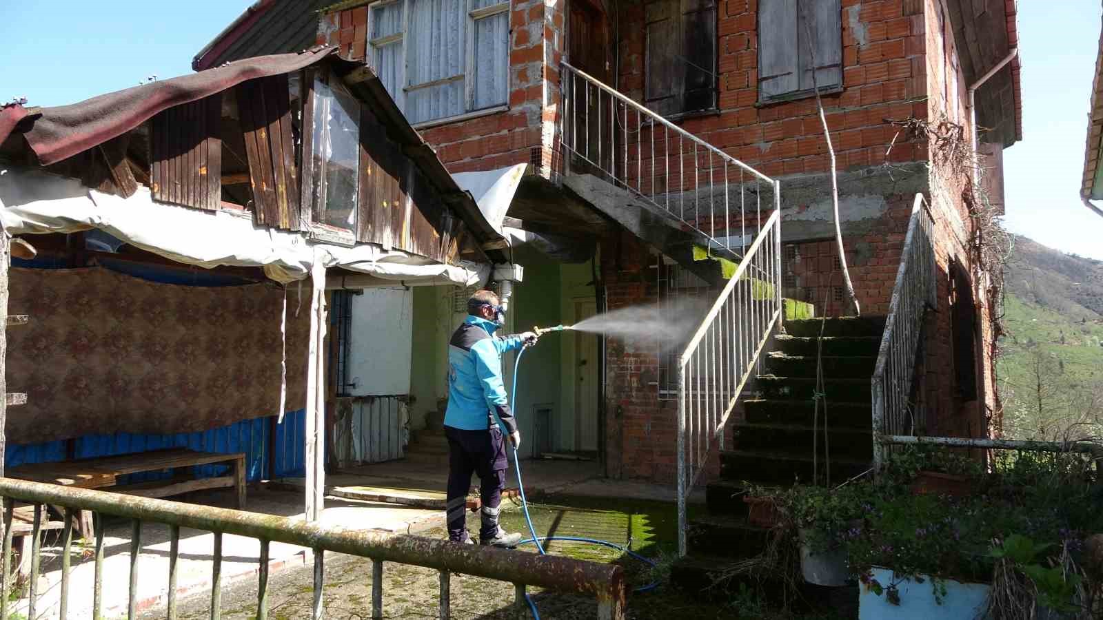 Kahverengi kokarcaya karşı kışlaklardan çıkış öncesi ilaçlama hız kazandı
