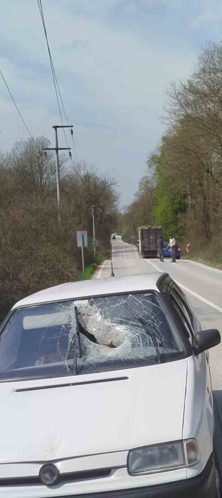 Kamyondan düşen tomruk seyir halindeki otomobile saplandı
