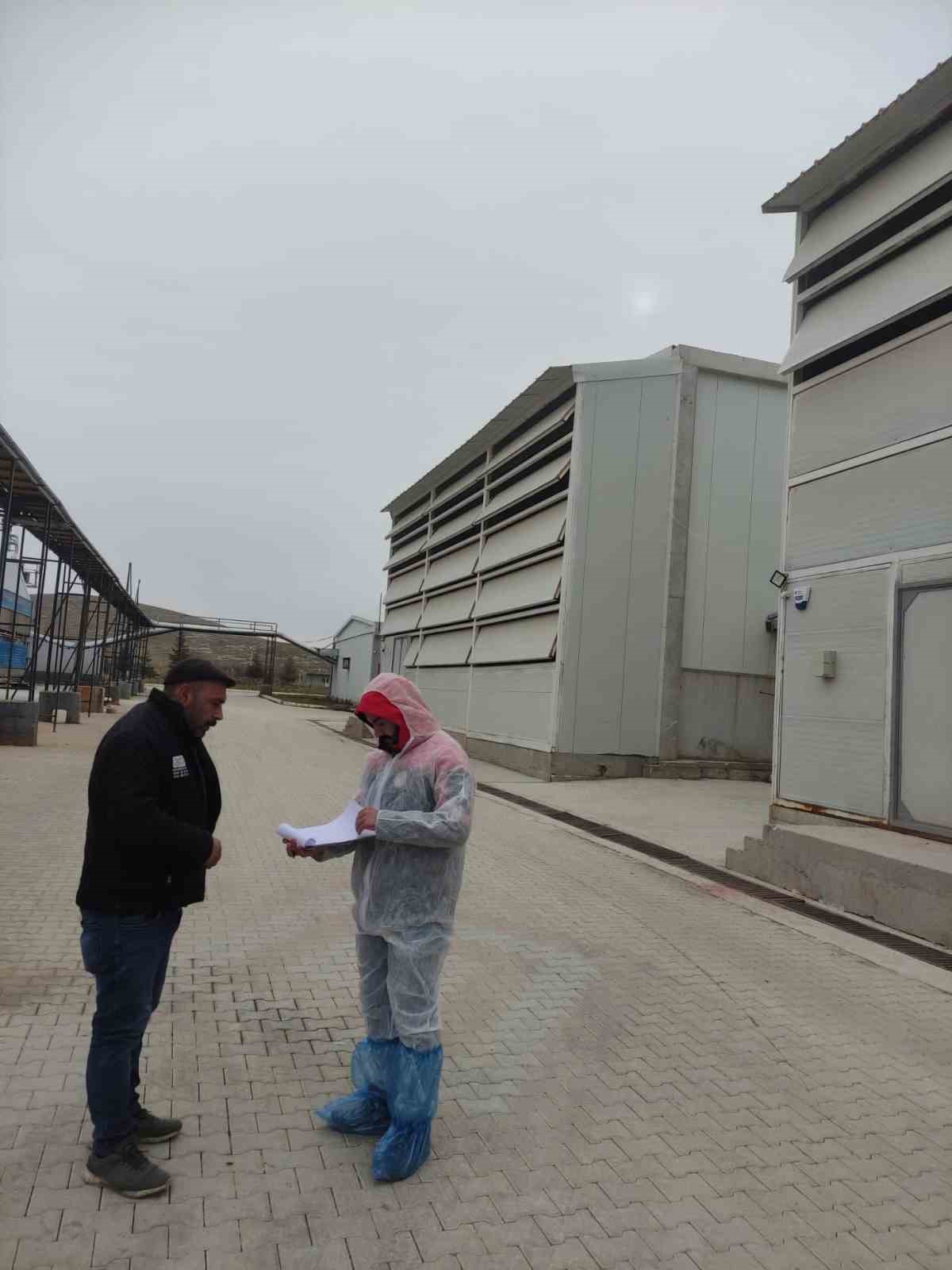 Kanatlı hayvan ve yumurta üretim tesislerinde denetim
