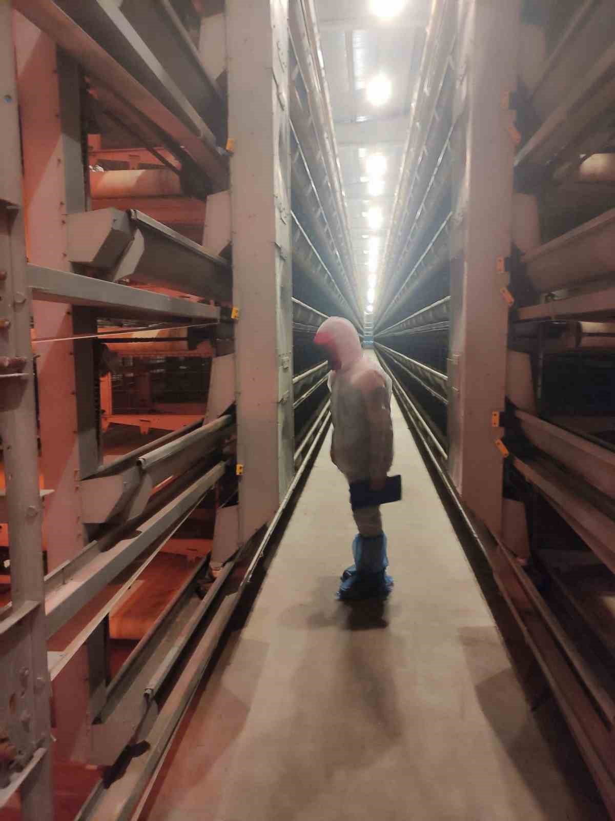 Kanatlı hayvan ve yumurta üretim tesislerinde denetim
