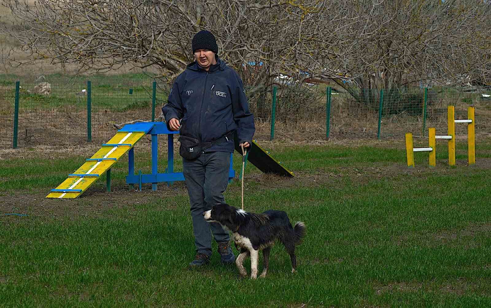 Kangal ve akbaştan sonra çobanlara hareketli ve heyecanlı yeni bir yardımcı geliyor
