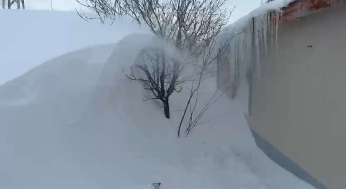Kangallarını beslemek için yola çıktı, çiftliğe vardığında gözlerine inanamadı
