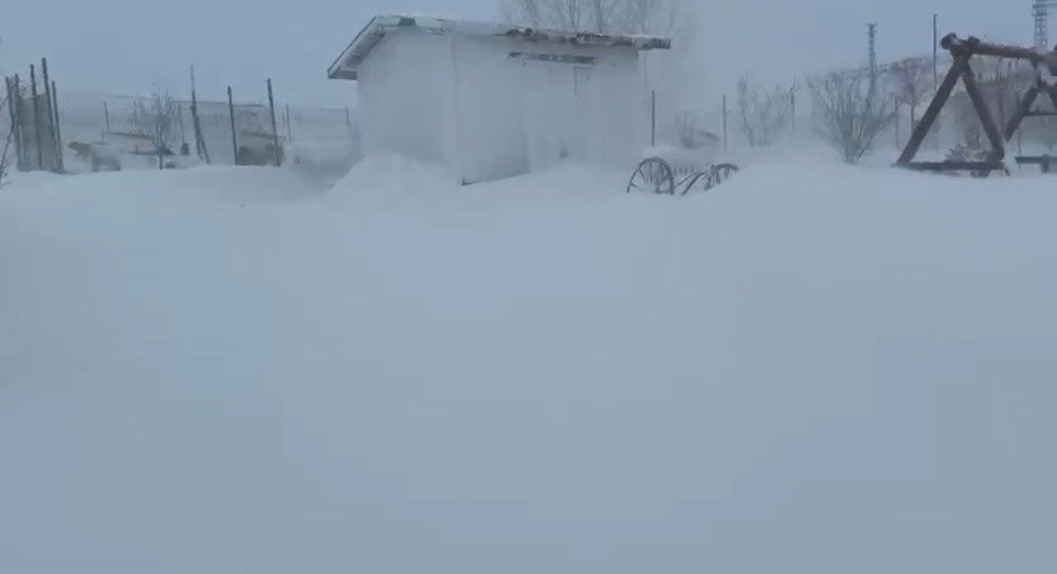 Kangallarını beslemek için yola çıktı, çiftliğe vardığında gözlerine inanamadı
