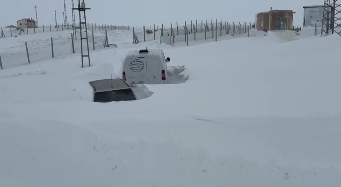 Kangallarını beslemek için yola çıktı, çiftliğe vardığında gözlerine inanamadı
